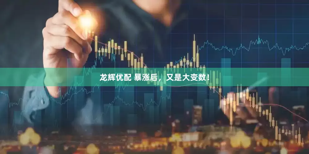龙辉优配 暴涨后，又是大变数！